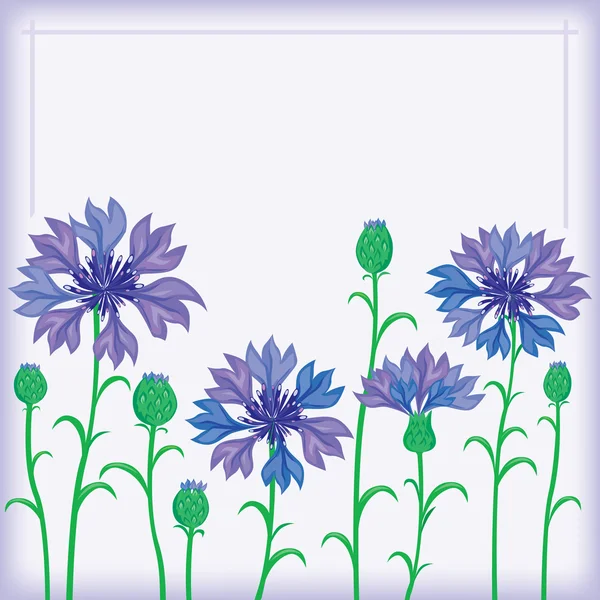 ヤグルマギクの花のボーダー — ストックベクタ