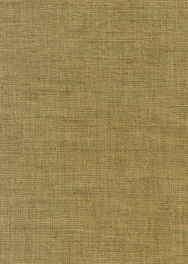 Flax canvas texture clipart