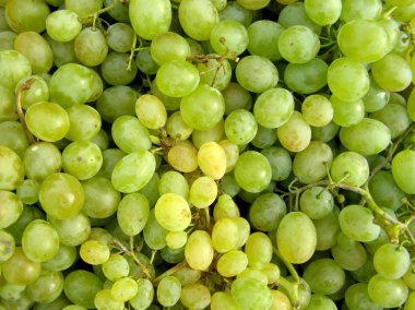 Green table grapes clipart