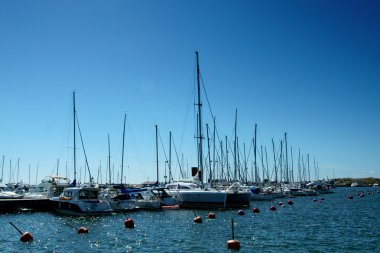 Marina, güneşli bir gün