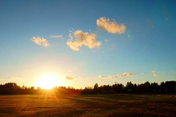 Stock image Sunset field