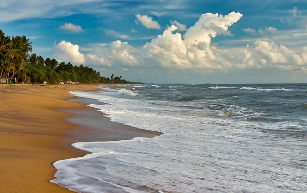 Večer na pláži Srí lanka — Stock fotografie