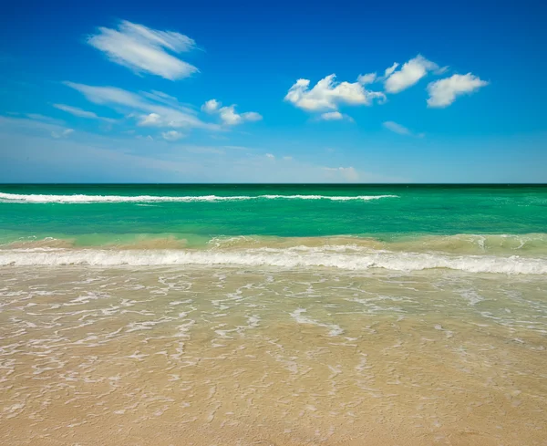 Plaża ocean lub tropikalny — Zdjęcie stockowe
