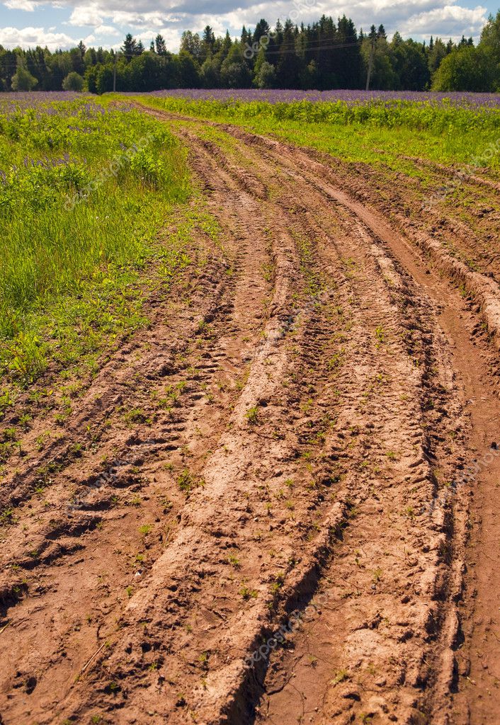 mud-road-in-the-meadow-stock-photo-ansud-3408276