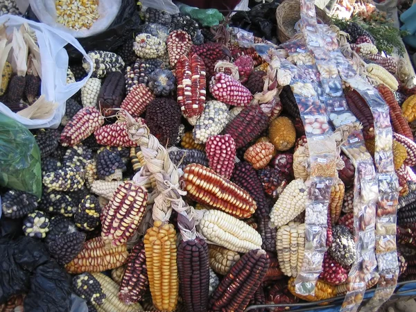 stock image Peruvian Corn