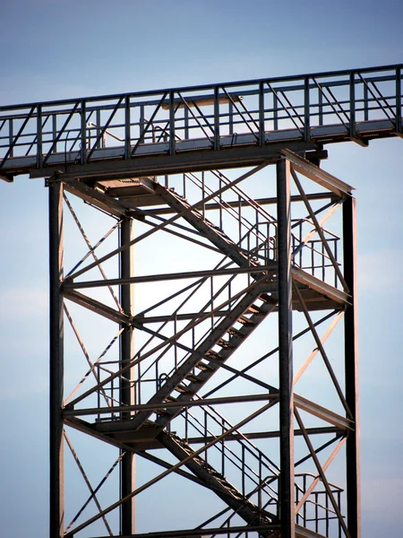 Хвойка металеві сходи — стокове фото