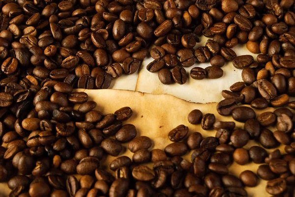 Kávová zrna na starém papíru — Stock fotografie