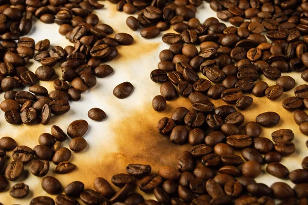 Kaffebönor på gammalt papper — Stockfoto