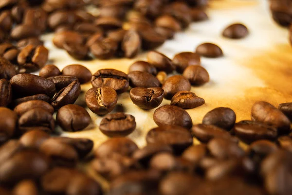 Coffee beans on old paper — Stock Photo, Image