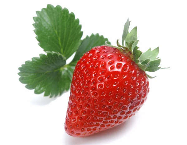 第 1 次草莓 — 图库照片