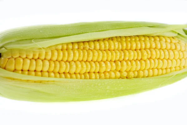 Mais auf Weiß — Stockfoto