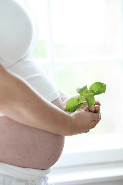Närbild av en kvinnas nakna gravid mage — Stockfoto