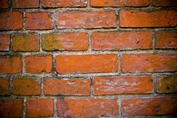 Fundo da parede de tijolo vermelho — Fotografia de Stock