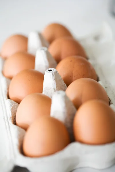 계란의 판지 — 스톡 사진