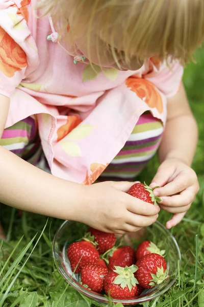 छोटी लड़की स्ट्रॉबेरी पकड़े हुए . — स्टॉक फ़ोटो, इमेज