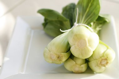 bebek bok choy.