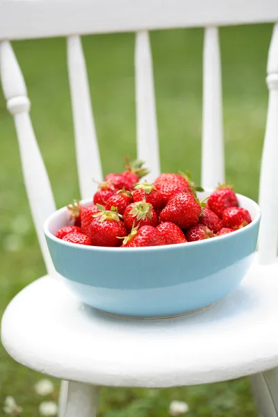 Fresas frescas en un tazón. —  Fotos de Stock