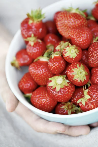 Kom van aardbeien. — Stockfoto