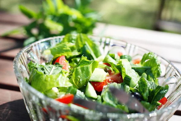 Frischer Gartensalat auf dem Tisch. — Stockfoto