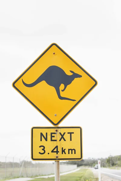 stock image Kangaroo warning road sign.