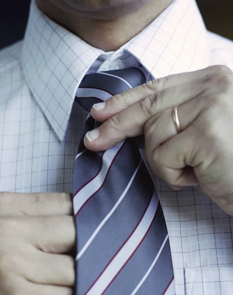 stock image Business man adjusting his tie.