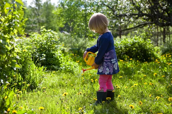 Kleines Mädchen gießt Blumen — Stockfoto