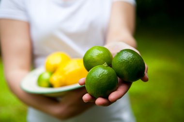 Lemon and lime on a plate clipart