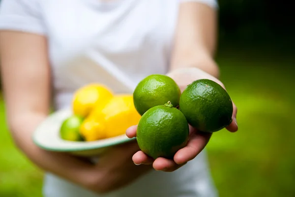 Lemon and lime on a plate — Stock Photo, Image