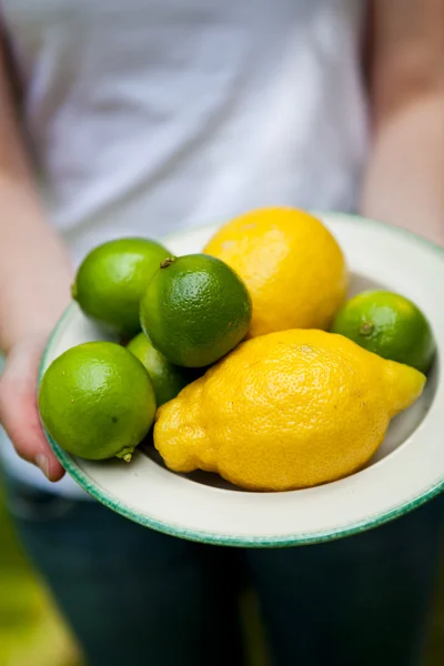 Limón y lima en un plato —  Fotos de Stock