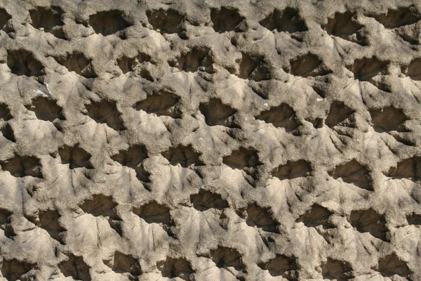 stock image Concrete texture