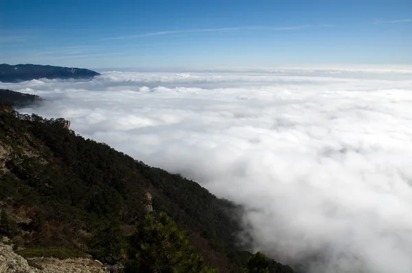 stock image Wild mountains in the mist