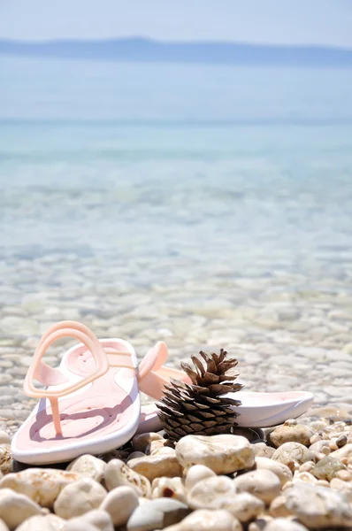 Сосновый конус на пляже в розовых тапочках — стоковое фото