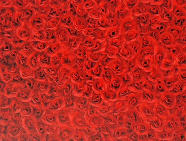 Rote Rose Hintergrund — Stockfoto