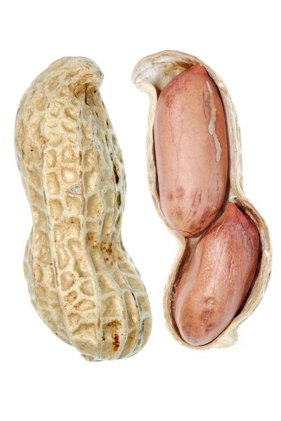 Открытый арахис — стоковое фото