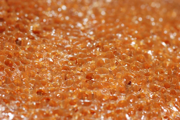 Gâteau nid d'abeille macro texture — Photo