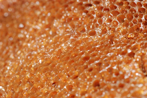 Gâteau nid d'abeille macro texture — Photo