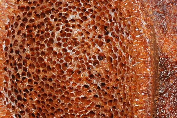 Torta a nido d'ape macro texture — Foto Stock