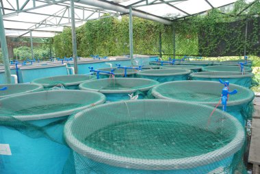 Agriculture aquaculture farm clipart