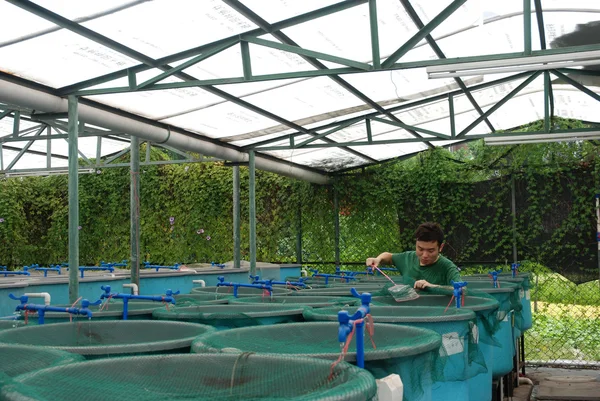 Landwirtschaftliche Aquakulturbetriebe — Stockfoto