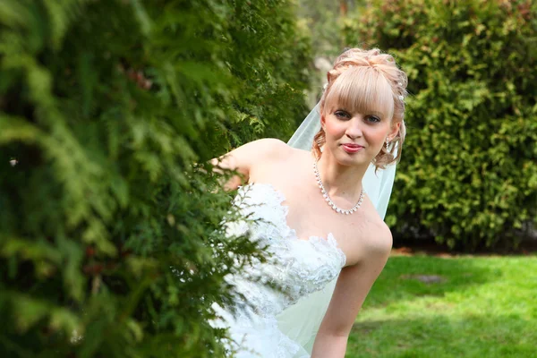 La mariée regarde par derrière un buisson — Photo