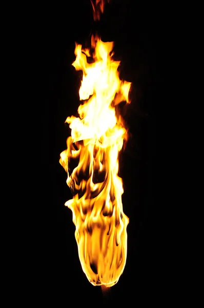 ไฟฉาย — ภาพถ่ายสต็อก