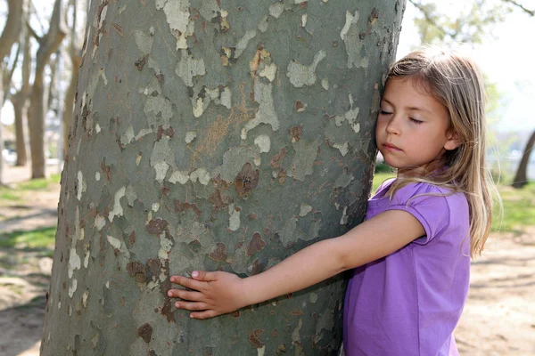 Chica abrazando árbol tronco Fotos de stock libres de derechos