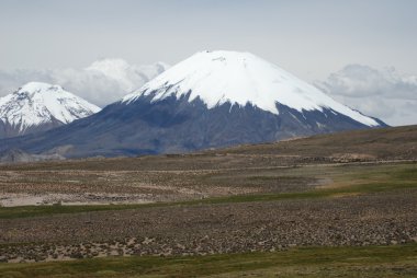 parinacota volkanın görünümü