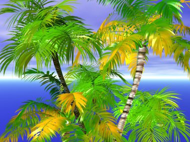 Palms clipart