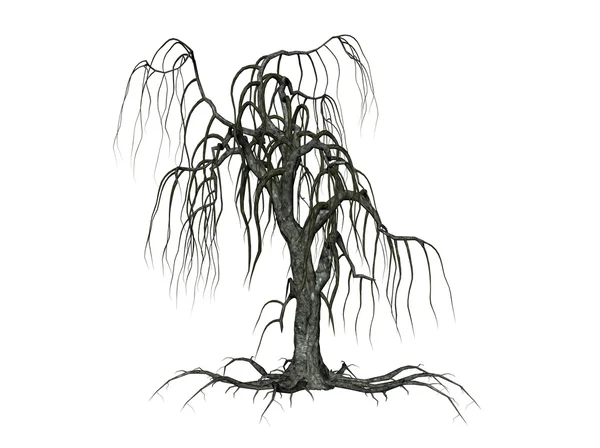 Gruseliger Baum — Stockfoto