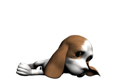 Köpek.