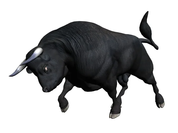 Toro —  Fotos de Stock
