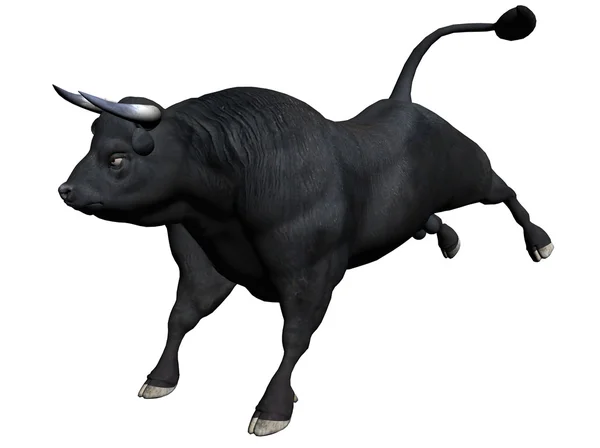 Bull — Stock Photo, Image