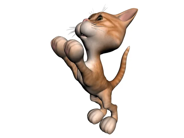แมว — ภาพถ่ายสต็อก