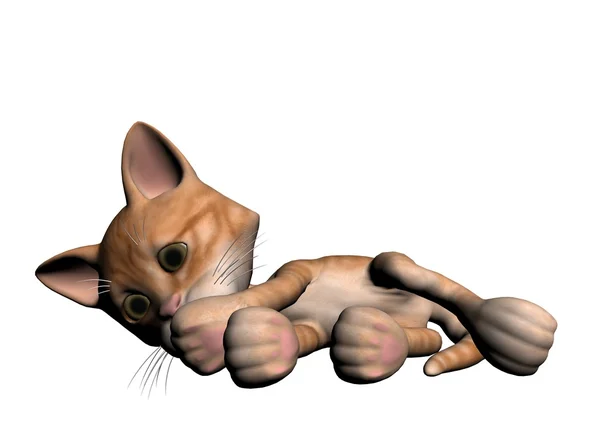 แมว — ภาพถ่ายสต็อก
